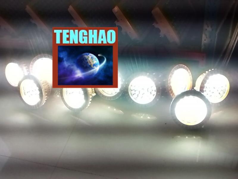 鹽城市_|_騰豪tenghao_|_防爆滅蚊燈_|_制藥廠