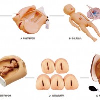 高級腹部觸診、分娩機轉(zhuǎn)綜合模型